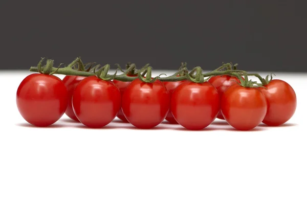 Branch a tomato on white and black — Stock Photo, Image
