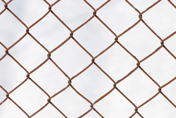 stock image Knotted grid