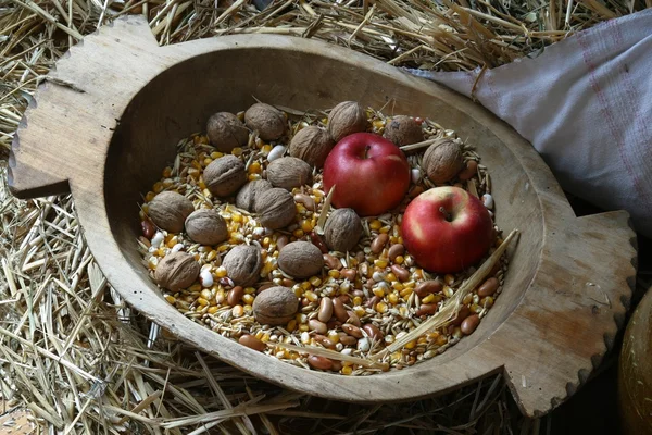 An apple and walnuts — Stock Photo, Image