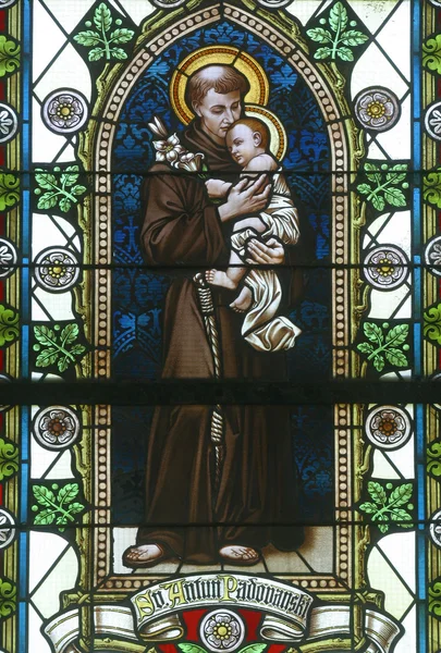 Saint Anthony av Padua — Stockfoto