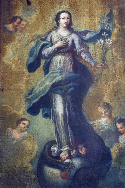Пресвятої Діви Марії — стокове фото