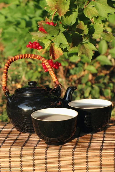Bylinný čaj v zahradě — Stock fotografie