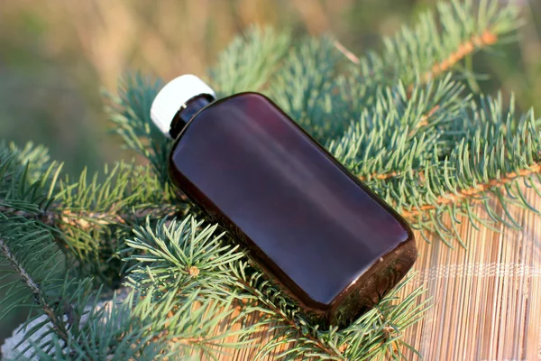 Extrato de óleo aromático do abeto — Fotografia de Stock