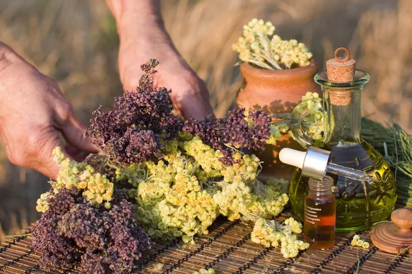 Herb a esenciální olej — Stock fotografie