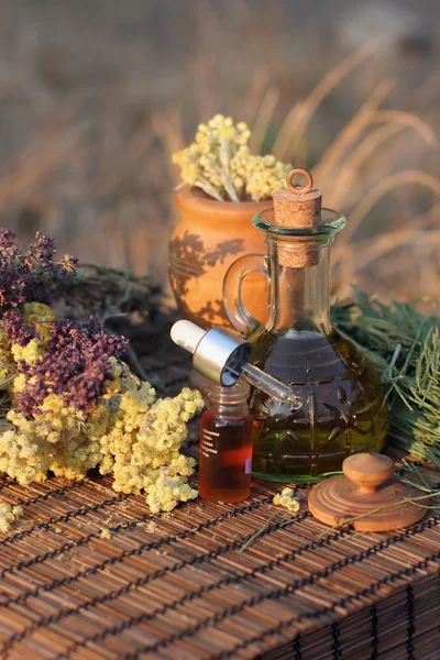 Erbe aromatiche e olio essenziale — Foto Stock