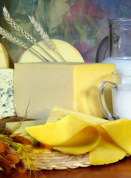 奶酪和牛奶 — 图库照片