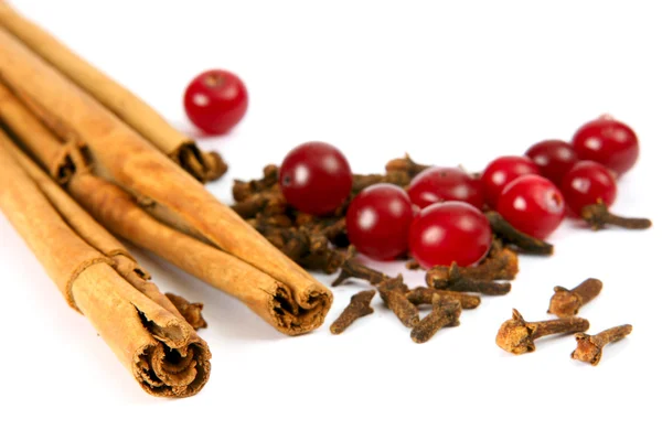 Cinnamon, carnation, cranberry — Stock Photo, Image