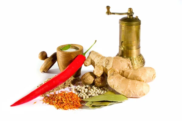 Spices, herbs and grinder — Stock Photo, Image