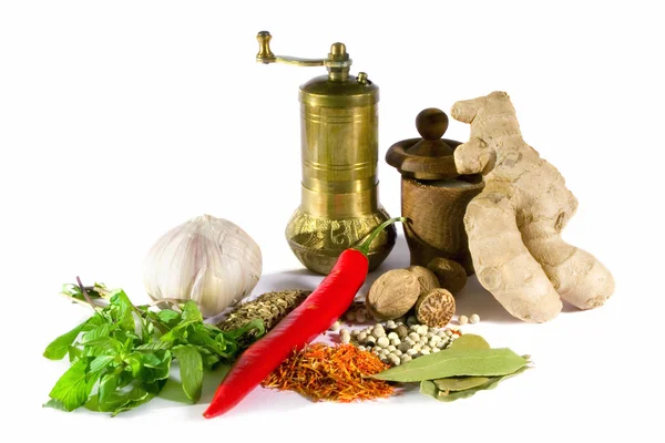Spices, herbs and grinder — Stock Photo, Image