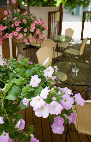 夏季咖啡馆露台 — 图库照片