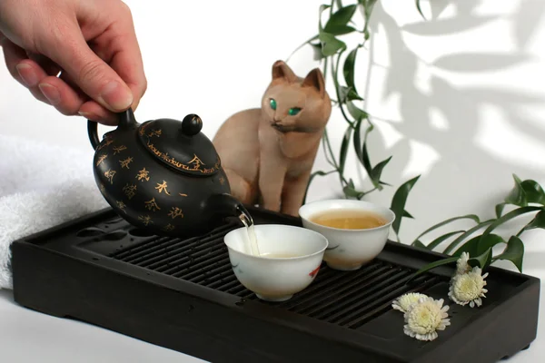 Chá chinês — Fotografia de Stock