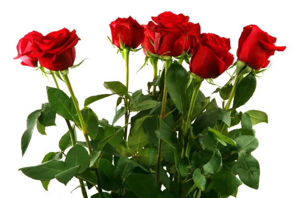 Μπουκέτο κόκκινα τριαντάφυλλα — Φωτογραφία Αρχείου