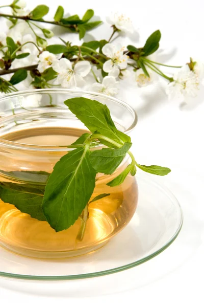 Chá herbáceo — Fotografia de Stock