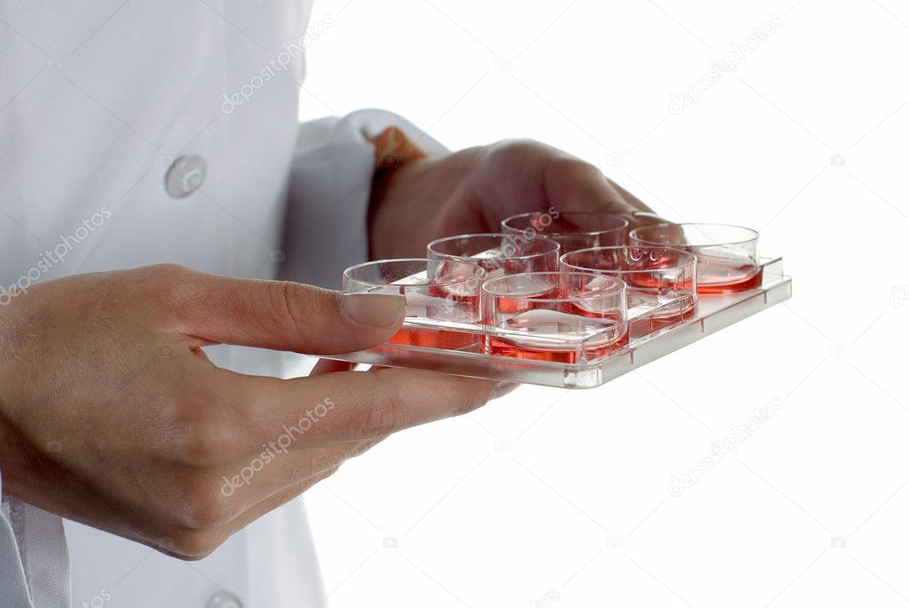 Chemical test tubes in female hands