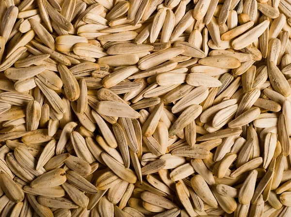 stock image Sunflower seeds