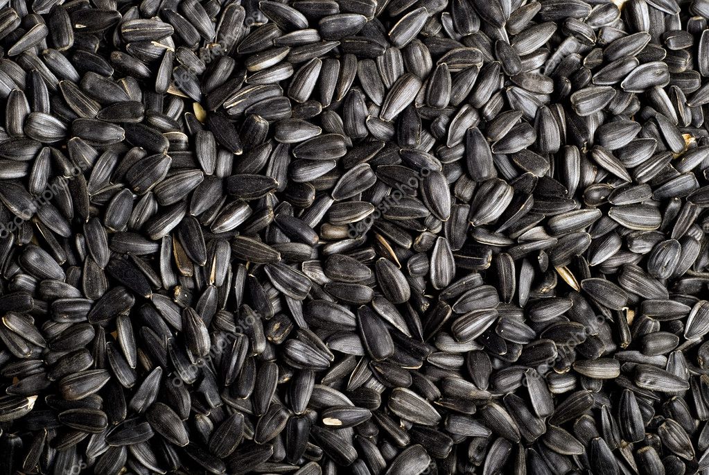 black-sunflower-seeds-stock-photo-chichinkin-2280780