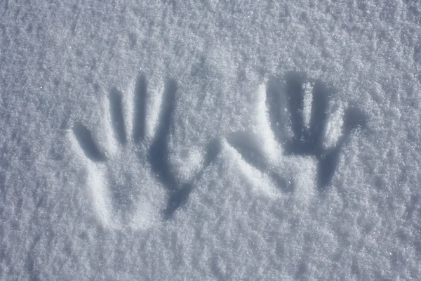 stock image Hands in snow