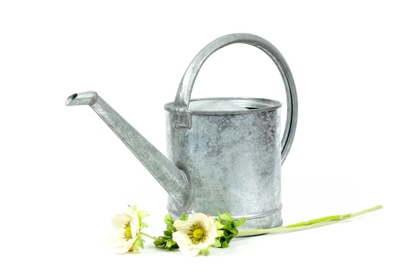 Galvanized watering can — Stock Photo, Image