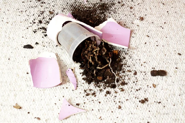 Stock image Broken flowerpot