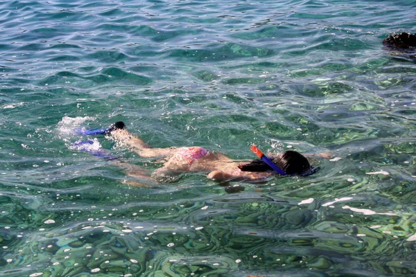 Mergulho com um snorkel — Fotografia de Stock
