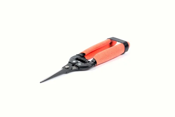 Pruning scissors to primordia — Stock Photo, Image