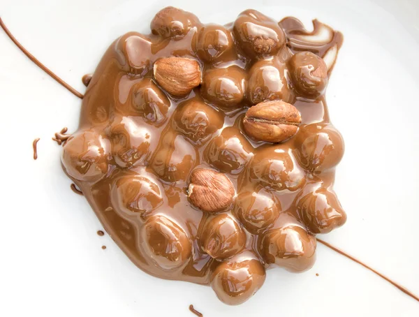 Chocolate covered hazelnuts — Stock Photo, Image