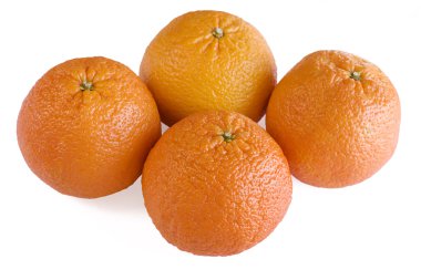 Four Scarlet Oranges clipart