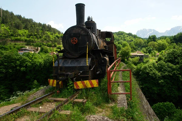 stock image Old steam engine in spring