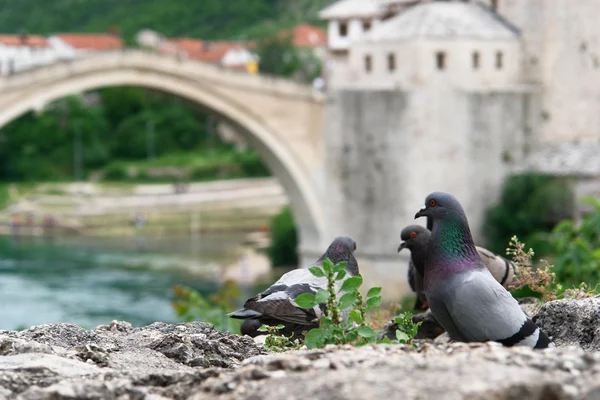 Ponte Mostar Bósnia-Herzegovina — Fotografia de Stock