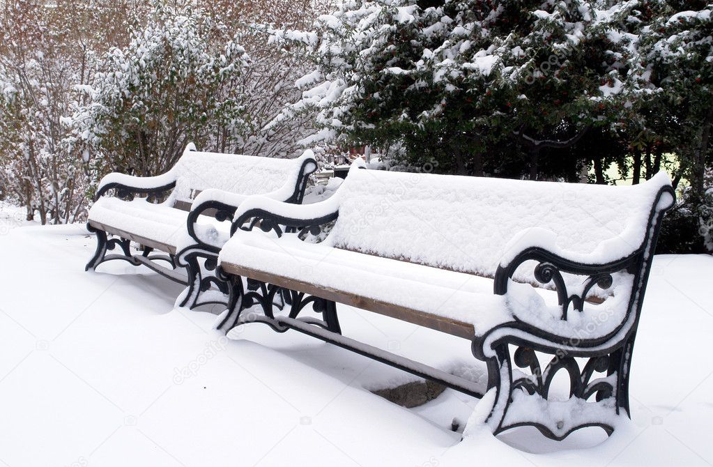 Park benches under fresh snow