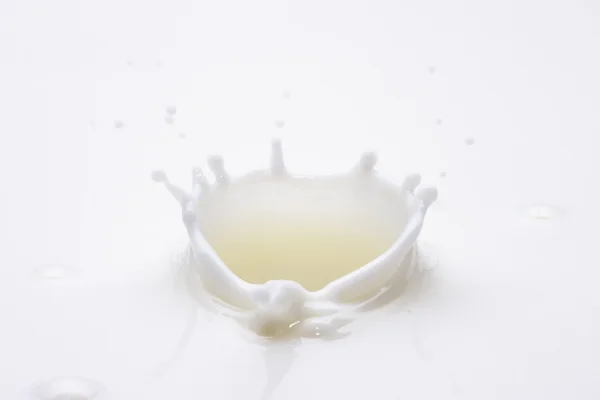 Csepp tej Stock Kép