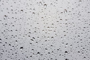 Drops of a rain clipart