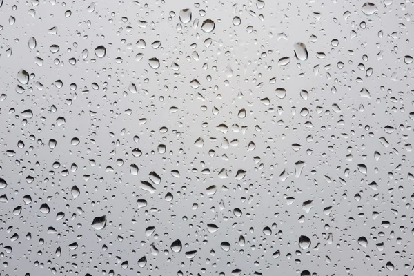 Gotas de uma chuva — Fotografia de Stock