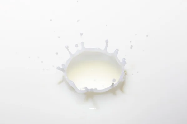 stock image Milk