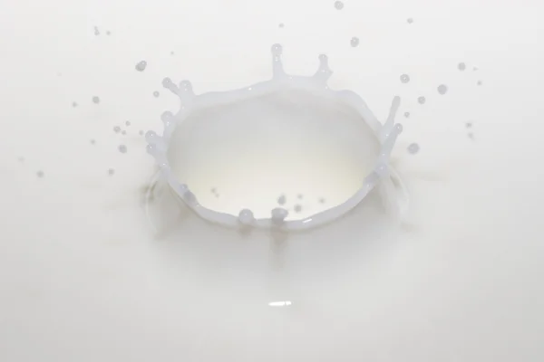 Milk cup — Stock Photo, Image