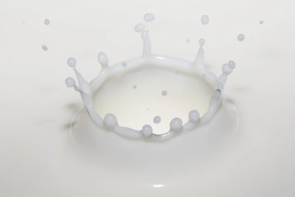 Coupe de lait — Photo