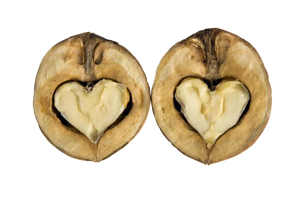 stock image Walnuts - as hearts