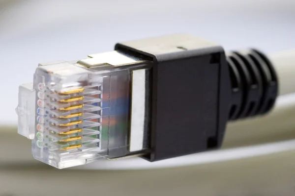 Hálózati kábel Stock Kép