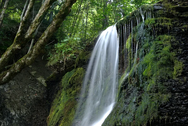 stock image Ostrowskich waterfall