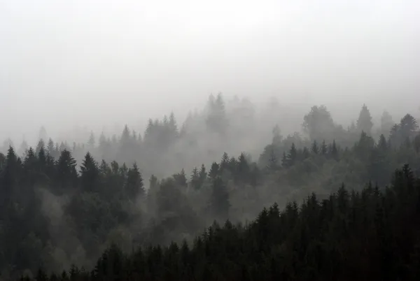 Туманний гори Стокове Фото