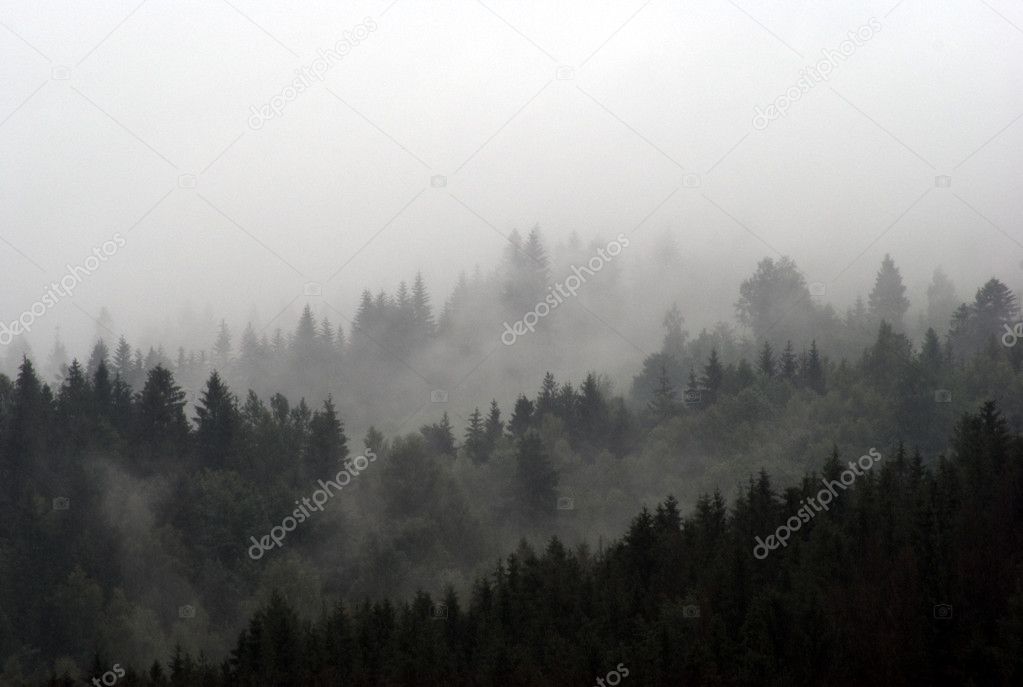 Foggy mountains
