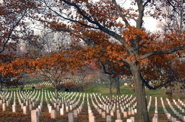Arlington Cemetery in Fall