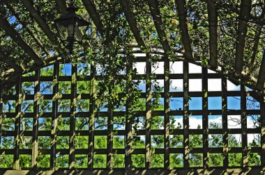 Arbor Latticework