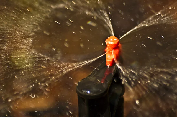 stock image Water Sprinkler on Dry Ground