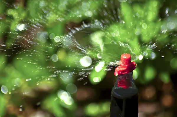 Stock image Water Sprinkler Spray Closeup