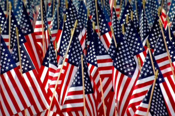 Amerikai zászlók, juharfalevél háttér Jogdíjmentes Stock Képek