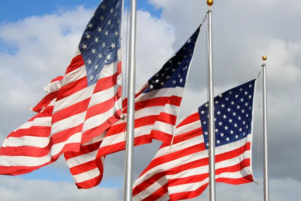 Bandeiras Americanas no Vento — Fotografia de Stock