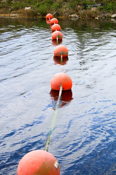 Buoys on river — Stock Photo, Image