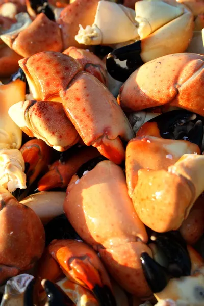 stock image Crab claws