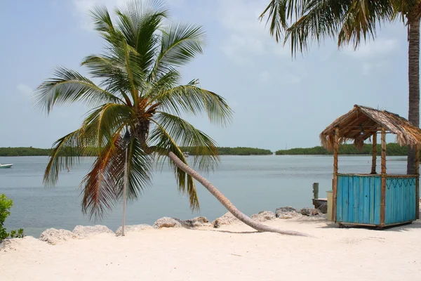 Sea, palms and hut — Stock Photo, Image